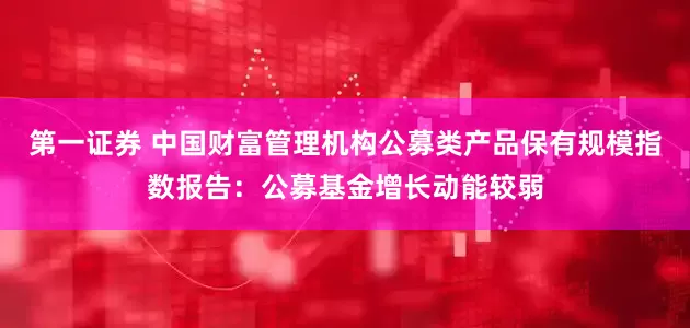 第一证券 中国财富管理机构公募类产品保有规模指数报告：公募基金增长动能较弱