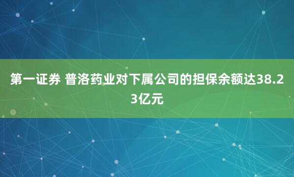 第一证券 普洛药业对下属公司的担保余额达38.23亿元