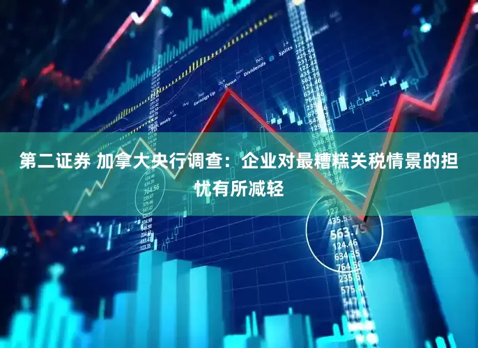 第二证券 加拿大央行调查：企业对最糟糕关税情景的担忧有所减轻