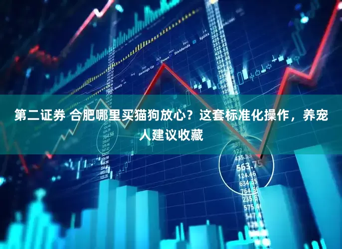第二证券 合肥哪里买猫狗放心？这套标准化操作，养宠人建议收藏