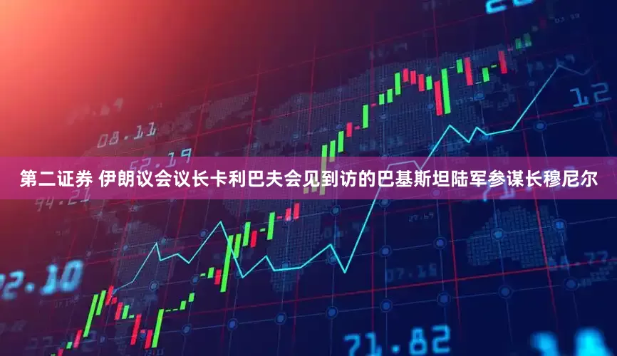 第二证券 伊朗议会议长卡利巴夫会见到访的巴基斯坦陆军参谋长穆尼尔